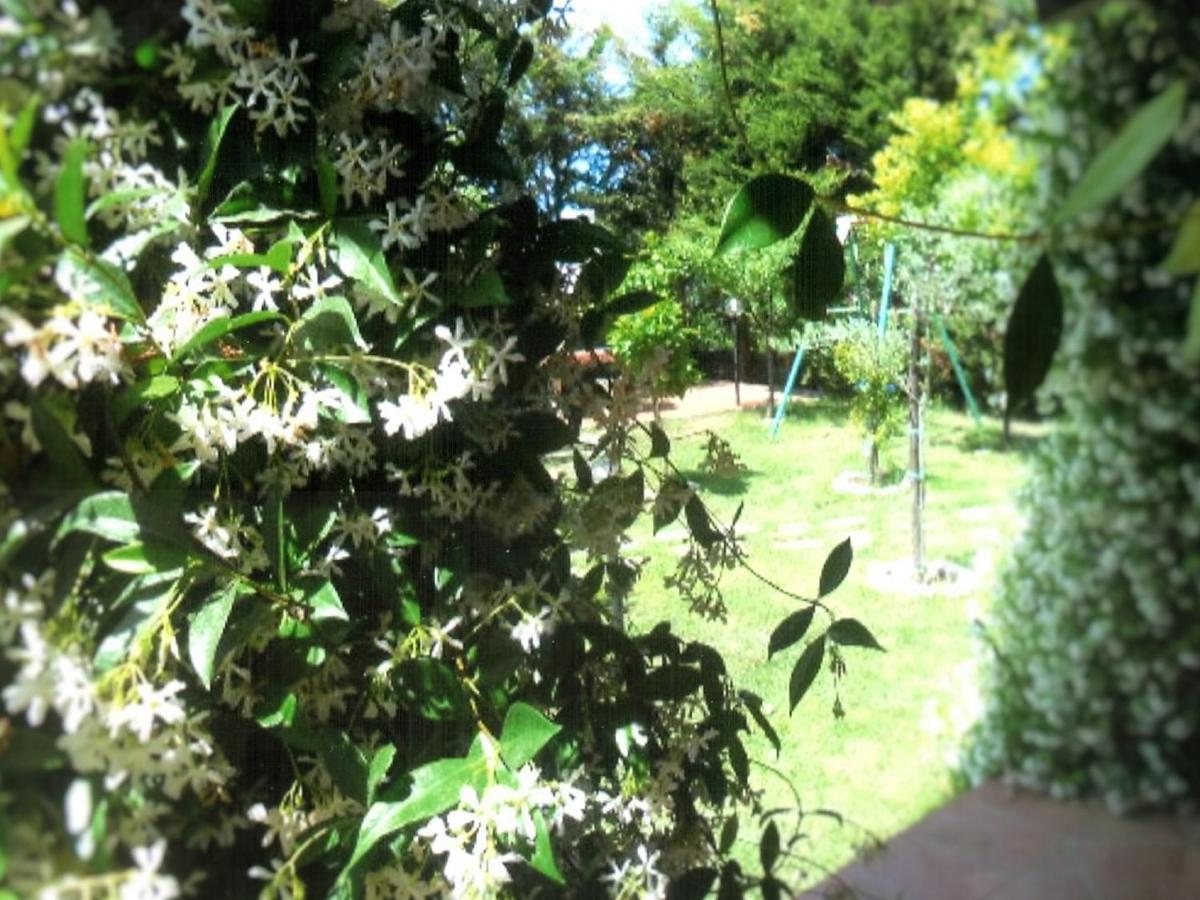 B&B Hibiscus Agropoli Exterior photo